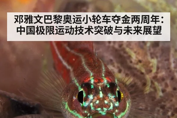邓雅文巴黎奥运小轮车夺金两周年：中国极限运动技术突破与未来展望