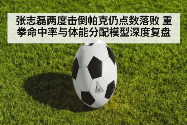 张志磊两度击倒帕克仍点数落败 重拳命中率与体能分配模型深度复盘
